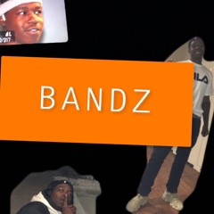 Bandz- SweatBandz