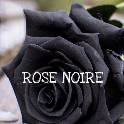 Janat X Tebrym Rose Noire By Gmsquad
