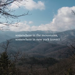 somewhere in the mountains, somewhere in new york (the tallest man on earth cover)