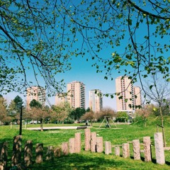 Betonjungle - masterproef Leen De Schutter (RITCS)