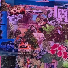 Make A Move / Floral Shoppé version (Cover)