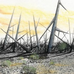 This Place is Not a Place of Honor