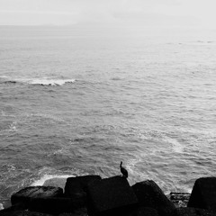 Incredible phenomenum of the mind called nirvana (remast. Version)