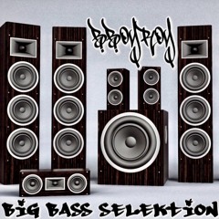 Big Bass Selektion