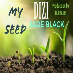 DiZi featuring JADE BLACK produced by M.PHASIS   "MY SEED"