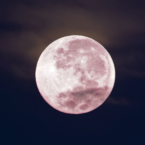 Relllanious (no Ketchup)