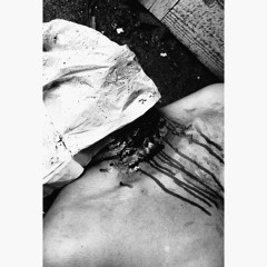 Peachdoe ( D'weezy & Mr Happii )