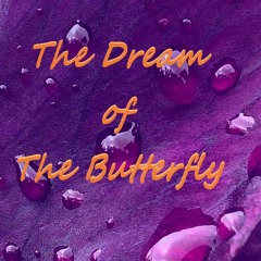 The Dream of The Butterfly