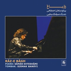 Raaze Bag/Saman Ehteshami