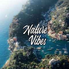 NatureVibes - Deep Café vol.35 (Radio Webphré)