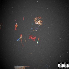 Trip (Prod. Delz)