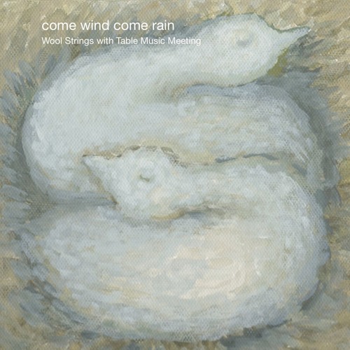 today / festa - Wool Strings featuring Table Music Meeting