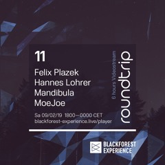 MoeJoe | Roundtrip 11 || Blackforest Experience