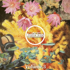 Herbal Scent (Naturwavs Vol.3)