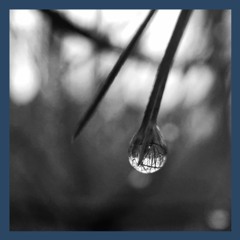 Through the Ear of a Raindrop (2002) UMD Symphony Orchestra, James Ross, Music Director