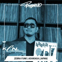 ZEBRA FUNK - Urban Breeze (Japanese Boogie Mix)