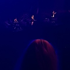 Connor Pellegrino - JCB Song