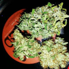 𝖔𝖓𝖎𝖋𝖈 ✈