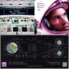 Fly me to the moon/Space we Occupy - 7" Vinyl sample