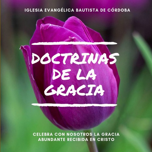 Stream Iglesia Evangélica Bautista Córdoba | Listen to Doctrinas de la  Gracia playlist online for free on SoundCloud