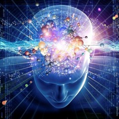 FreeStyle Fun Twisted VS Psyfari / 15.06.19 - SpaghettiBrain