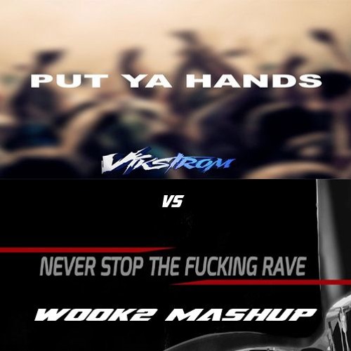 Put Ya Fucking Rave (WOOK2 MASH UP) [FREE DOWNLOAD]