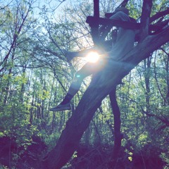 Happy Fathers Day Jkelly