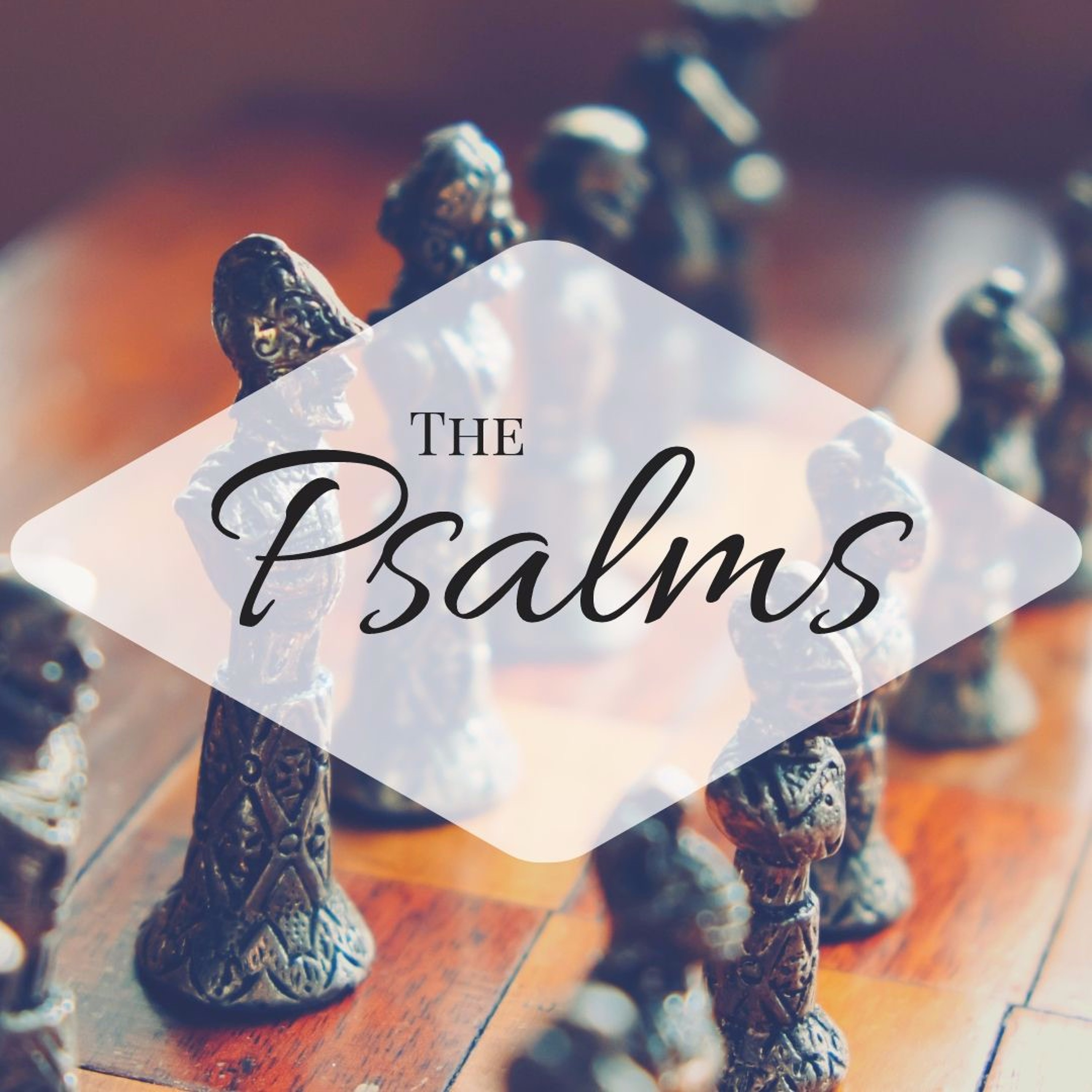 Trusting In The Son Of Man - Psalm 146 episode artwork