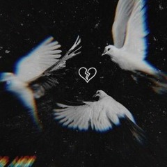 *PIMPSHXT*(Prod.jflex)