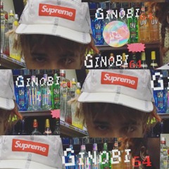 BODYBAG64-GINOBI64