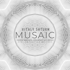 Vitaly Shturm - Musaic (Federico Monachesi Remix)