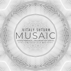 Vitaly Shturm - Musaic (Federico Monachesi Remix)