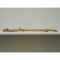 Branches by Peter Child