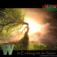 @Waldrauschen - Im Einklang mit der Natur (Technokäfer im Waldrausch)