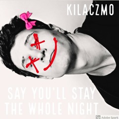 Say You'll Stay The Whole Night