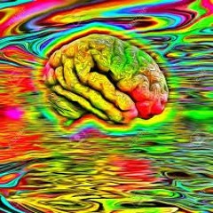 Brain Wash [LIVE EXTRACT]
