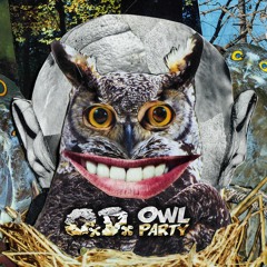Owl Party (Aurolab Remix)