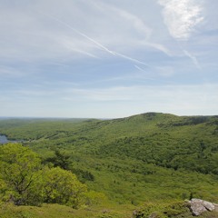 Fields Of Athenry Remix