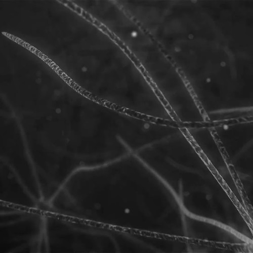 T78 & ROBPM - Brainstorm (Extended Mix)