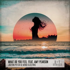 Jolyon Petch & Mind Electric feat. Amy Pearson - What Do You Feel THE REMIXES