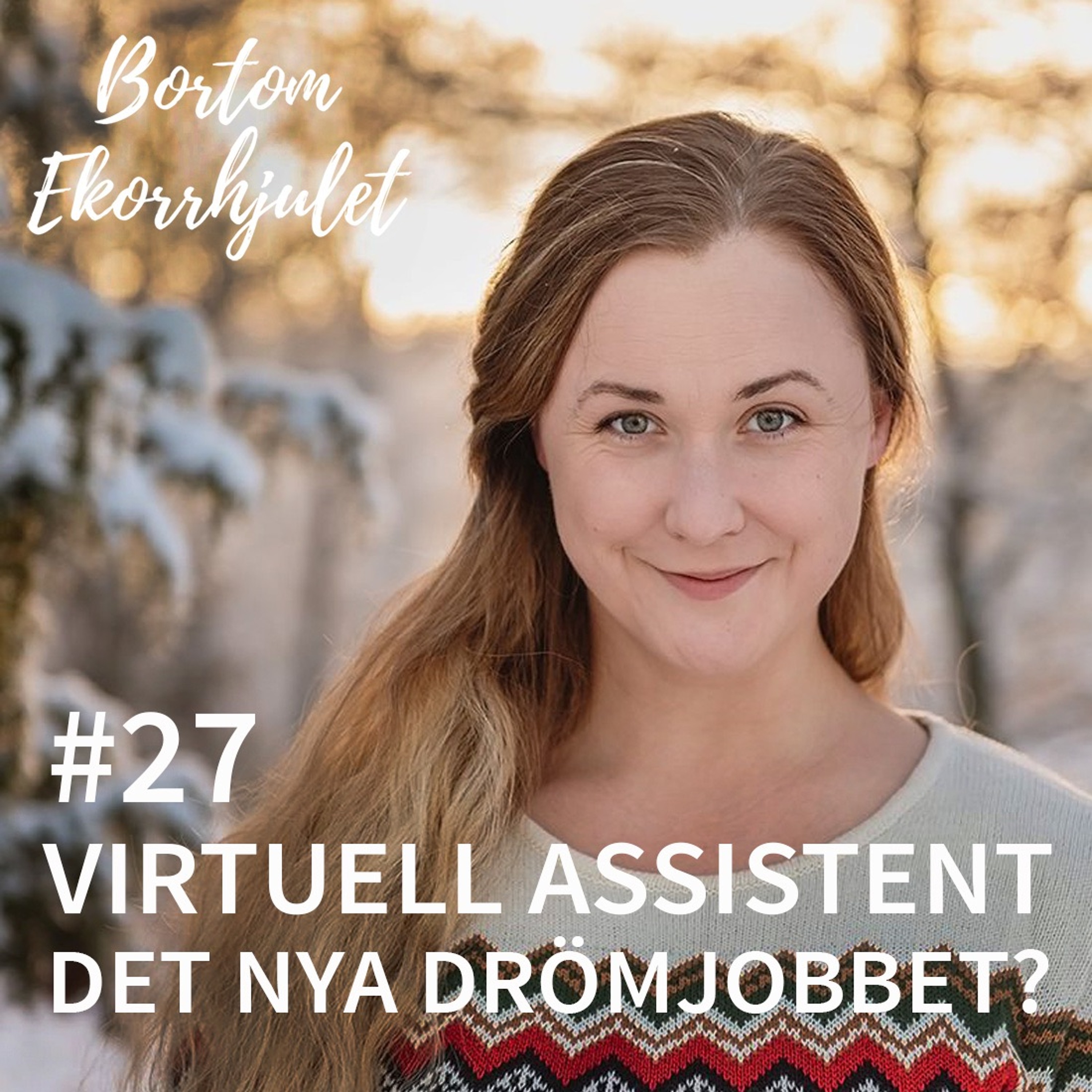 27. Virtuell assistent - det nya drömjobbet?