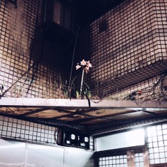 everythinggrowseverywhere #1 with Maria Lezhnina and Yenyi Lee