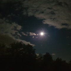 BRIGHT MOON (Wane of Summer and Annie Smart)