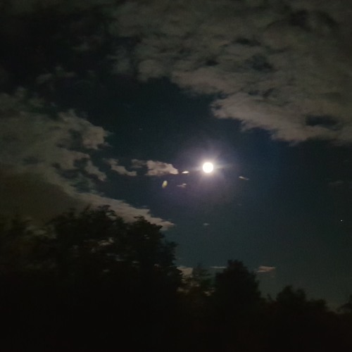 BRIGHT MOON (Wane of Summer and Annie Smart)