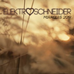 Miracles 2019 (Radio Edit)/ FREE DOWNLOAD + OFFICIAL VIDEO