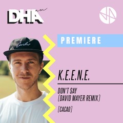 PREMIERE: K.E.E.N.E. - Don't Say (David Mayer Remix)