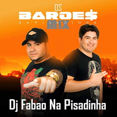 OS BAROES  DA PISADINHA VERAO 2019