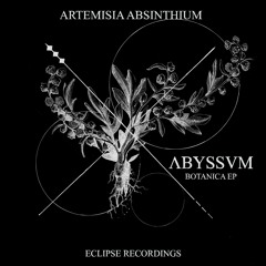 Artemisia Absinthium