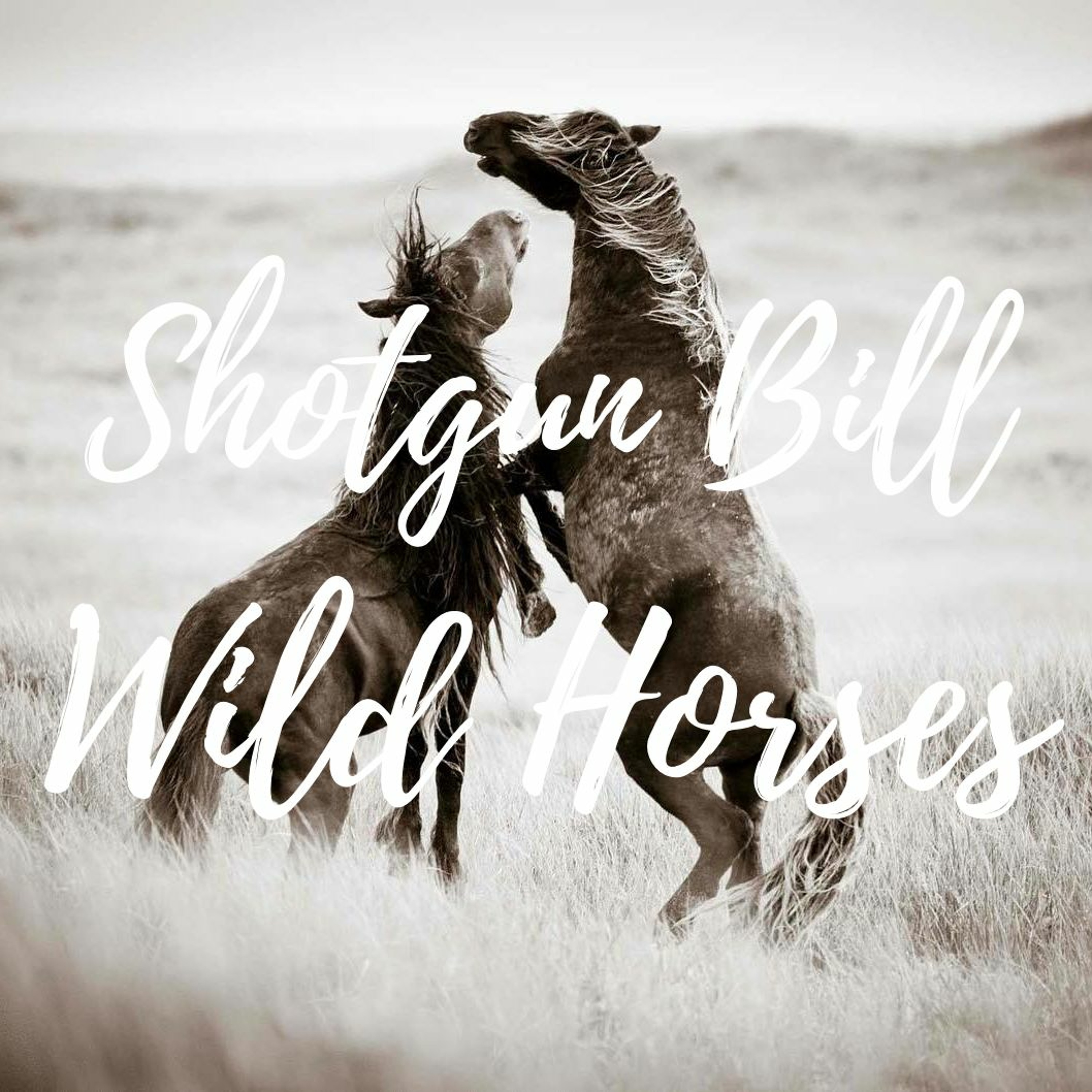 Wild Horses episode artwork