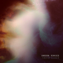 Timothy Clerkin - Unborn (Bawrut Remix)